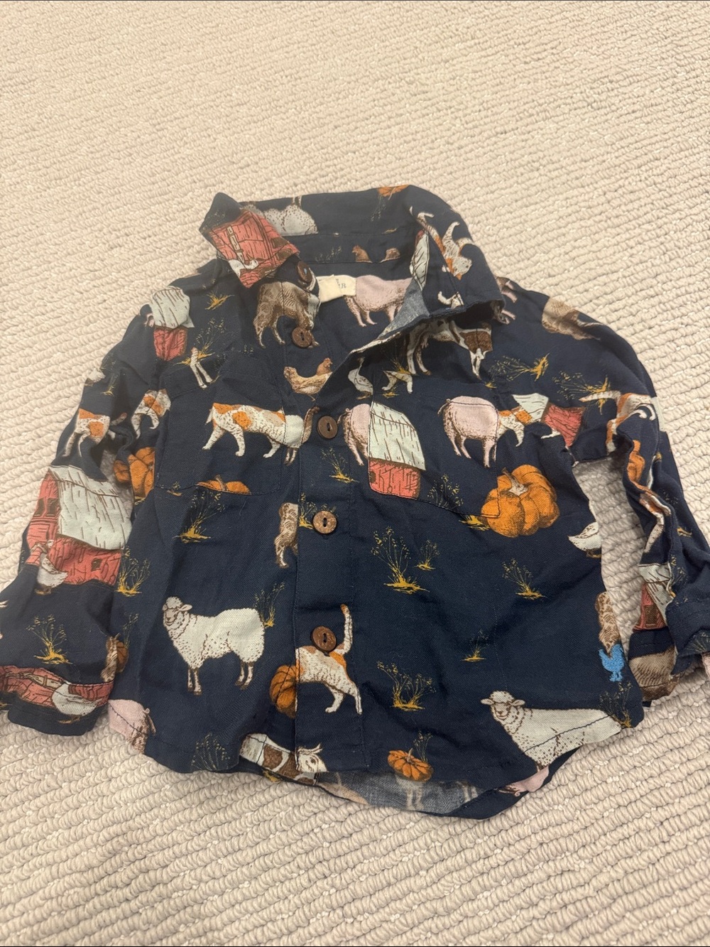 Pink Chicken Navy Farm Animal & Pumpkin Button-Down Shirt